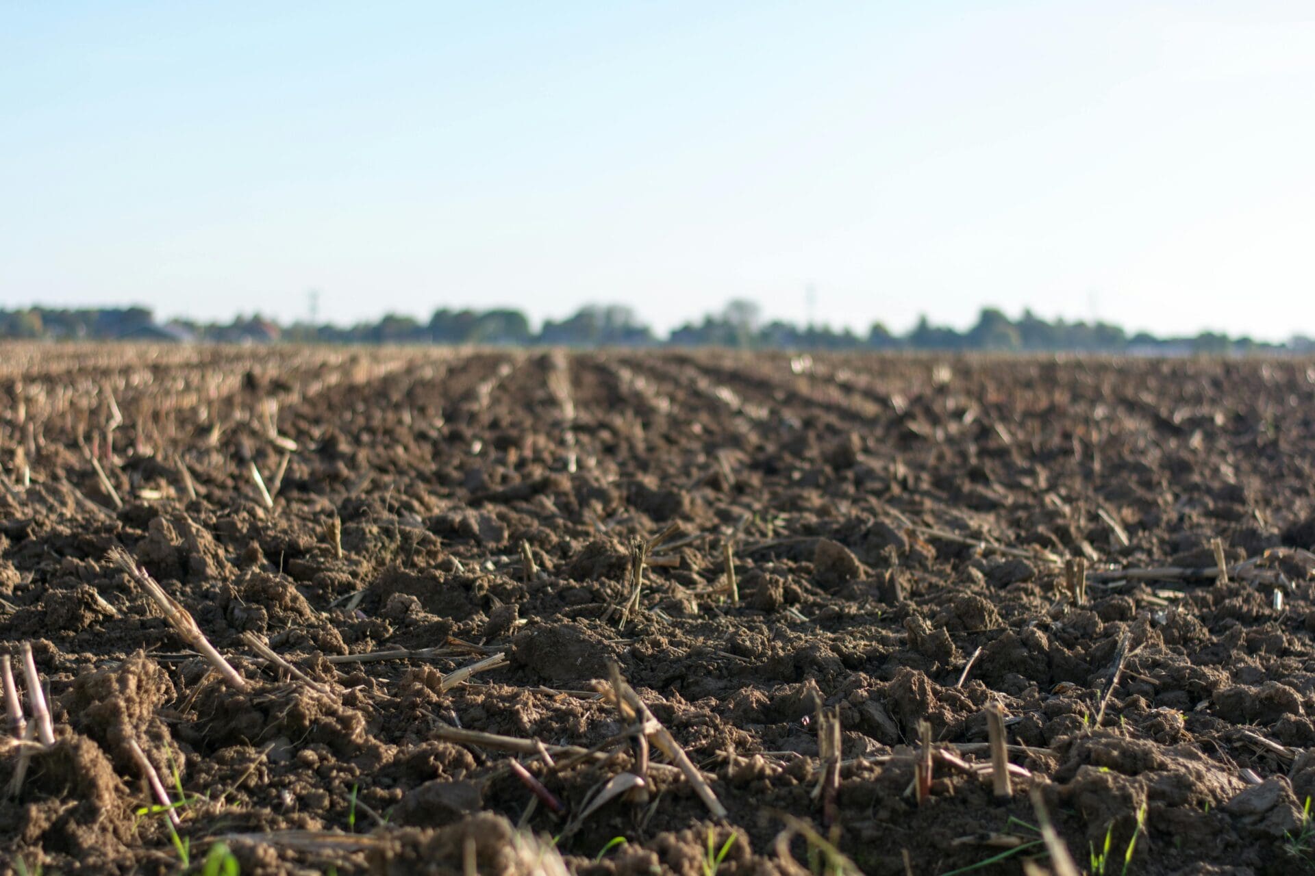 Better Soils Australia